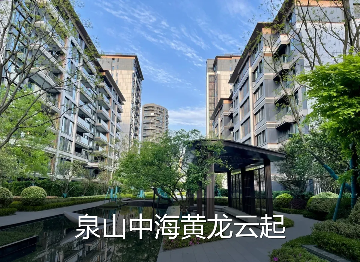 泉山中海黄龙云起