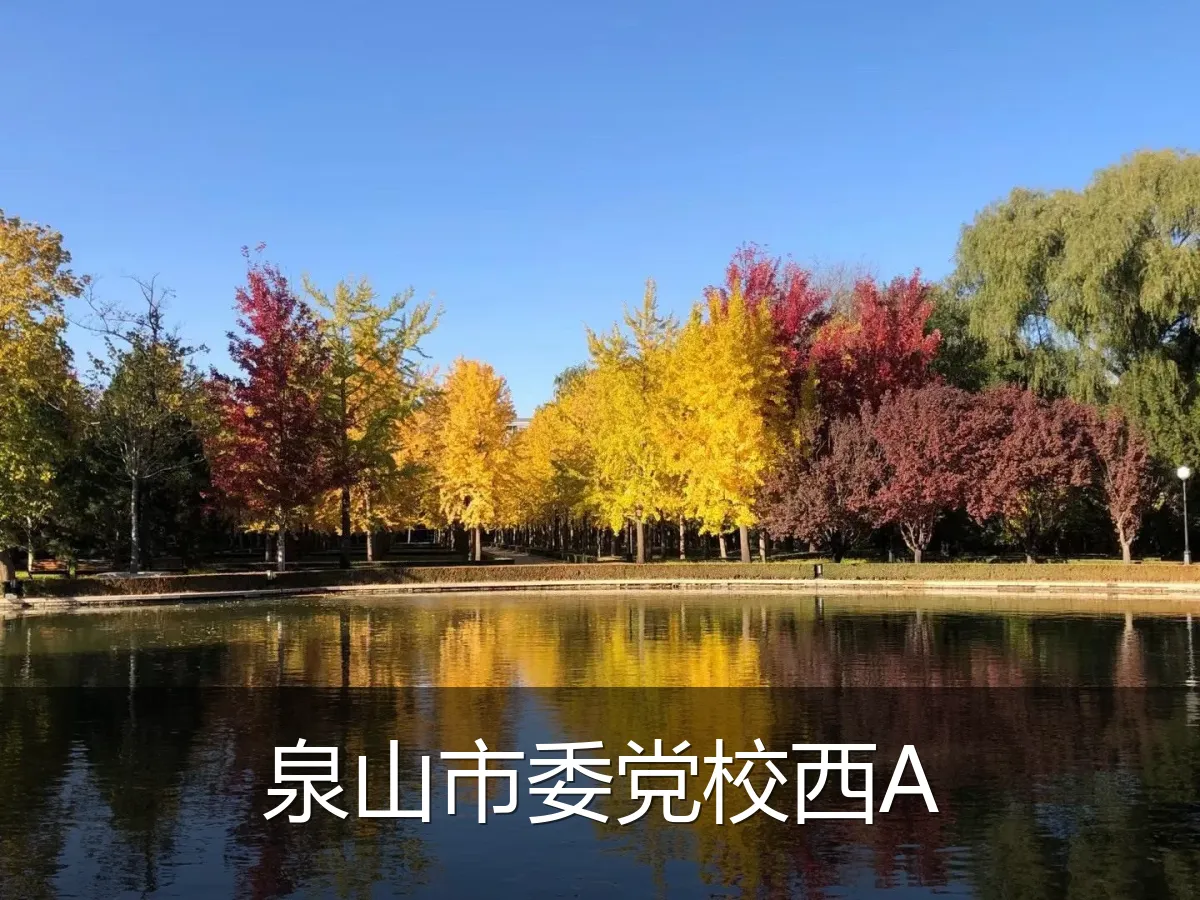 泉山市委党校西A